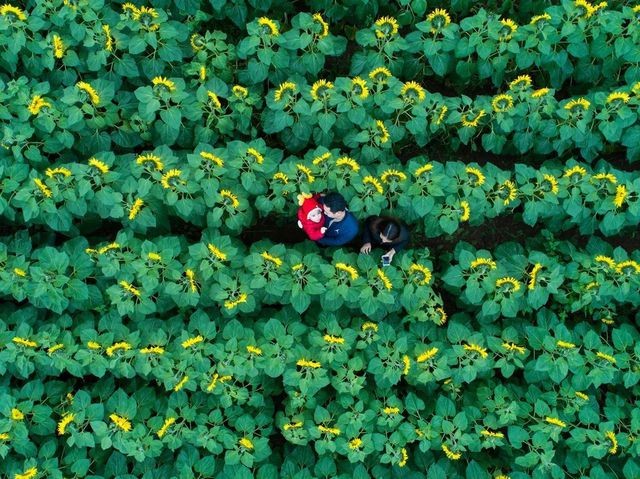 Tác phẩm của nhiếp ảnh gia người Việt lọt Top 12 bức đẹp nhất trên National Geographic ảnh 2
