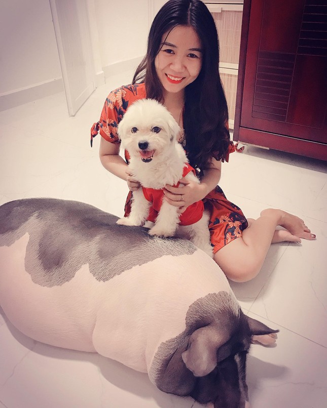 Thiếu nữ "khốn đốn" vì heo cảnh 2 kg tăng cân hơn 1 tạ, đòi ăn ngủ cùng chủ ảnh 6