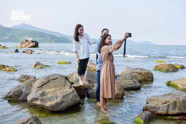 Nhanh nhanh nào bạn ơi! Mùa rêu xanh Nam Ô (Đà Nẵng) đã đến rồi! ảnh 4
