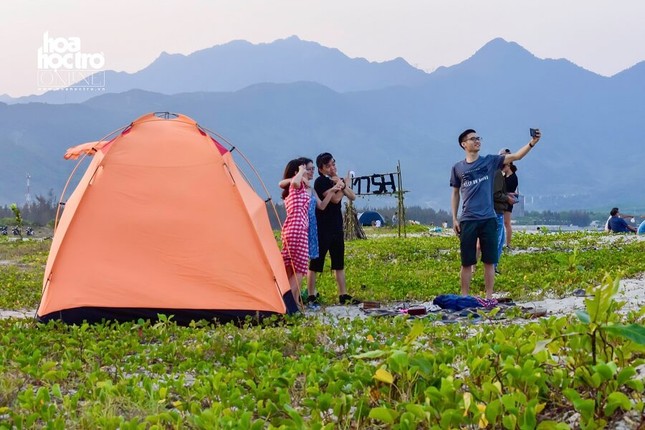 Nhanh nhanh nào bạn ơi! Mùa rêu xanh Nam Ô (Đà Nẵng) đã đến rồi! ảnh 8