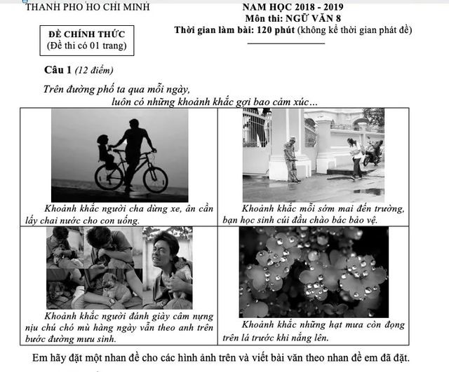 Hình ảnh "đẹp đẽ" và "đau thương" vào đề Văn của TP.HCM ảnh 1