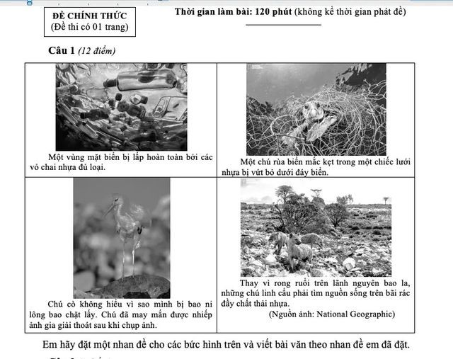 Hình ảnh "đẹp đẽ" và "đau thương" vào đề Văn của TP.HCM ảnh 2