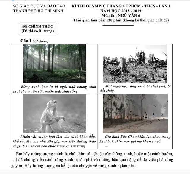 Hình ảnh "đẹp đẽ" và "đau thương" vào đề Văn của TP.HCM ảnh 3