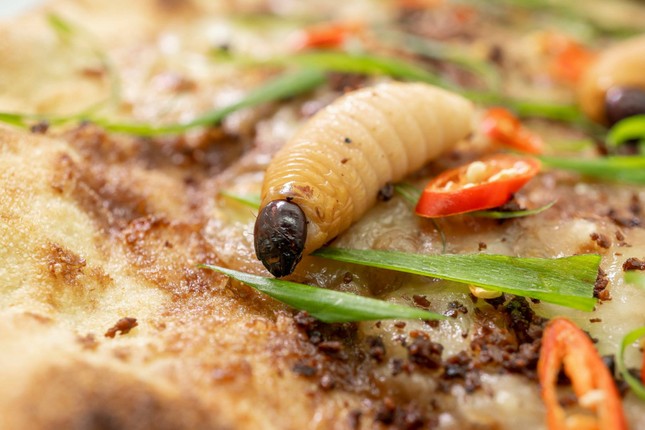 Sau pizza mắm tôm gây sốc lại xuất hiện thêm món mới: Pizza Đuông Dừa? ảnh 4
