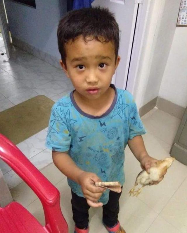 Đạp xe cán nhầm gà con, em bé mang tiền và gà đến bệnh viện nhờ cứu chữa ảnh 1