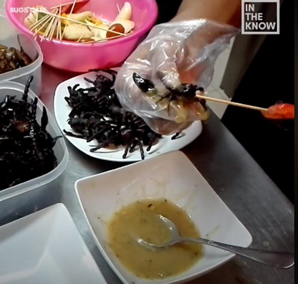 Đến quán cà phê để thưởng thức món... nhện chiên giòn ảnh 2