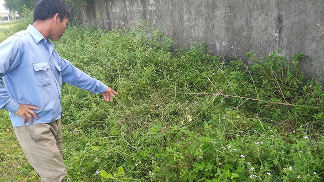 Điều tra nghi án học sinh lớp 2 ở Nghệ An bị xâm hại tình dục ảnh 2