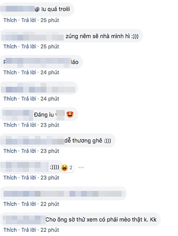Bị cụ ông trên đường tiện tay "trêu chọc", "boss" mèo lập tức phản ứng xéo xắt thế này đây! ảnh 6
