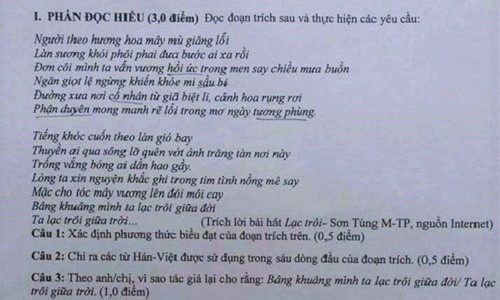 Cả trang giấy chỉ có một "dấu chấm", cộng đồng mạng phấn khích với đề Văn "thách thức" ảnh 3