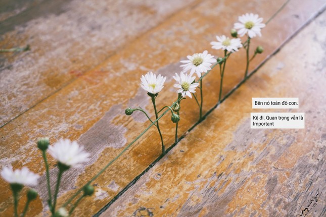 Bộ kỷ yếu bá đạo nhất hệ Mặt Trời đã xuất hiện rồi đây! ảnh 5