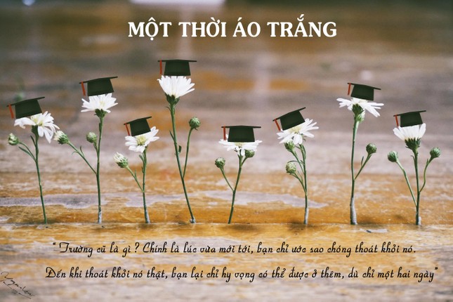 Bộ kỷ yếu bá đạo nhất hệ Mặt Trời đã xuất hiện rồi đây! ảnh 1