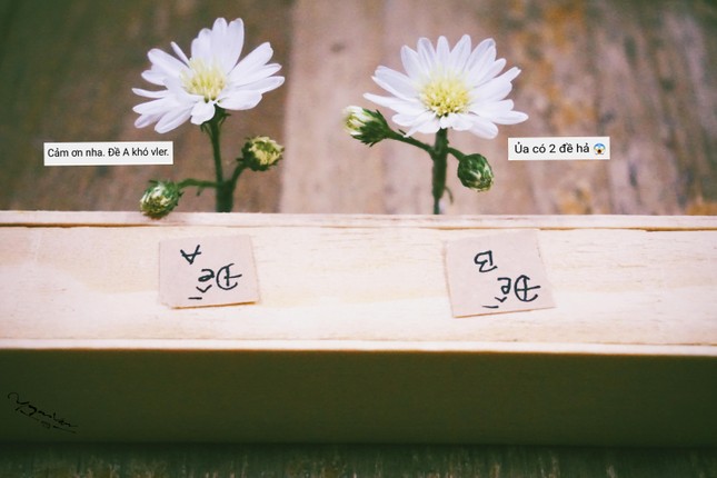 Bộ kỷ yếu bá đạo nhất hệ Mặt Trời đã xuất hiện rồi đây! ảnh 3