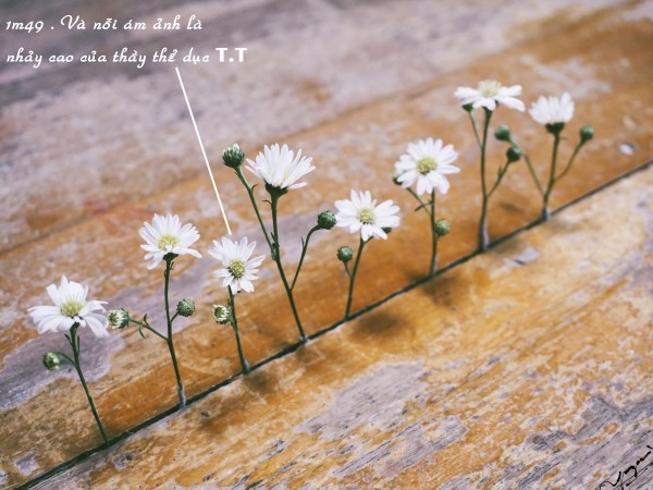 Bộ kỷ yếu bá đạo nhất hệ Mặt Trời đã xuất hiện rồi đây! ảnh 6