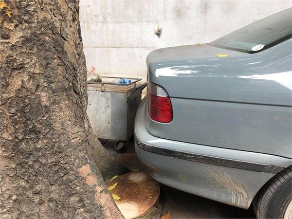 Màn đỗ xe "đỉnh cao" trên phố Hà Nội khiến dân mạng hoang mang: Xe hay cây có trước? ảnh 4