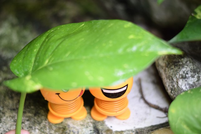 “Emoji lò xo xâm chiếm Trái Đất” đang hot tới độ nào? ảnh 7