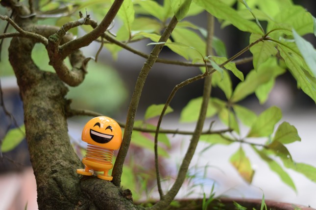 “Emoji lò xo xâm chiếm Trái Đất” đang hot tới độ nào? ảnh 3