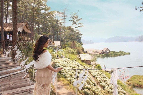 Đến Đà Lạt vào tháng 6: Lạc lối trong màu trắng tinh khôi của vườn cúc họa mi bên bờ hồ ảnh 7