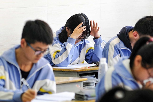 Đề thi đại học ở Trung Quốc khiến dân mạng xúc động ảnh 1