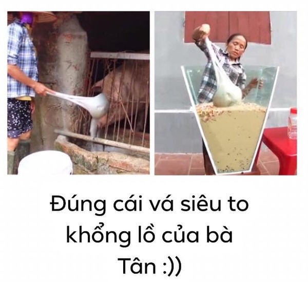 Nghi án Bà Tân Vlog dùng cùng 1 chiếc muỗng để cho heo ăn và… khuấy trà sữa ảnh 1