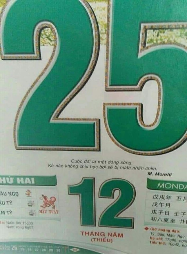 Hoàn thành môn thi Ngữ văn, các sĩ tử "rần rần" đăng ảnh khen Đen Vâu là "thánh đoán" ảnh 6