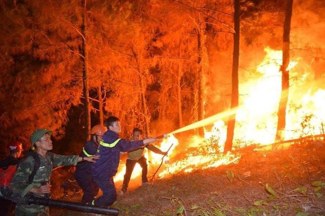 Vụ cháy rừng nghiêm trọng tại Hà Tĩnh: Bất ngờ lời khai nghi phạm! ảnh 1