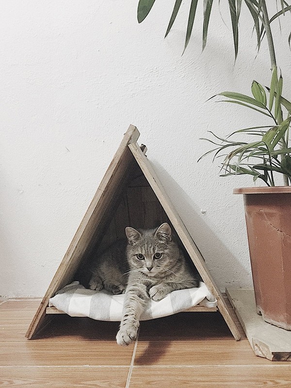 Với 3 triệu đồng, chàng trai tự decor phòng trọ cũ kỹ, tối tăm thành nơi ở phong cách châu Âu ảnh 7