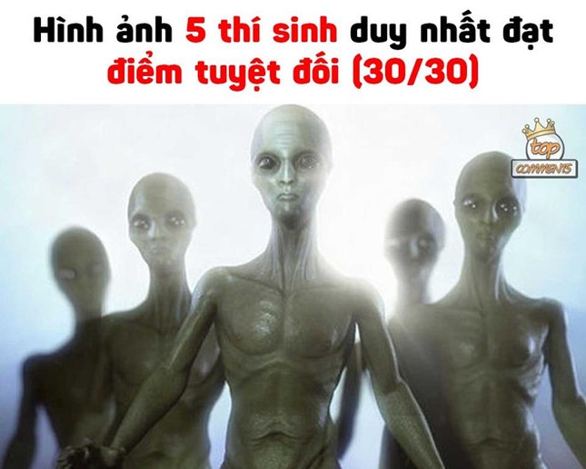 Ảnh chế Sơn Tùng, Đen Vâu nói thay cảm xúc 2K1 sau khi biết điểm thi ảnh 4