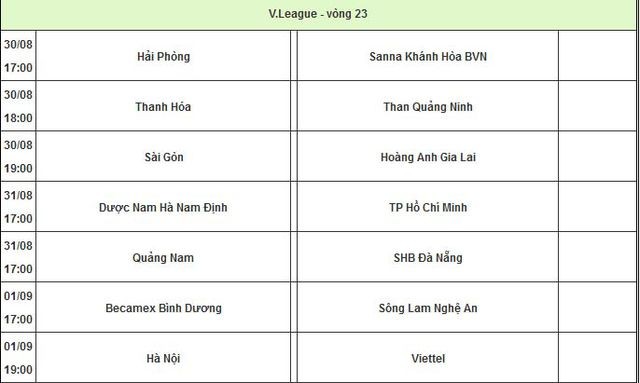 "VFF và VPF cần thay đổi lịch V-League vì đội tuyển Việt Nam" ảnh 2
