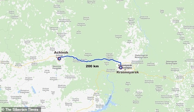 Cô chó đi suốt 200 km theo tuyến đường sắt tìm người chủ bỏ rơi nó trong nước mắt ảnh 4