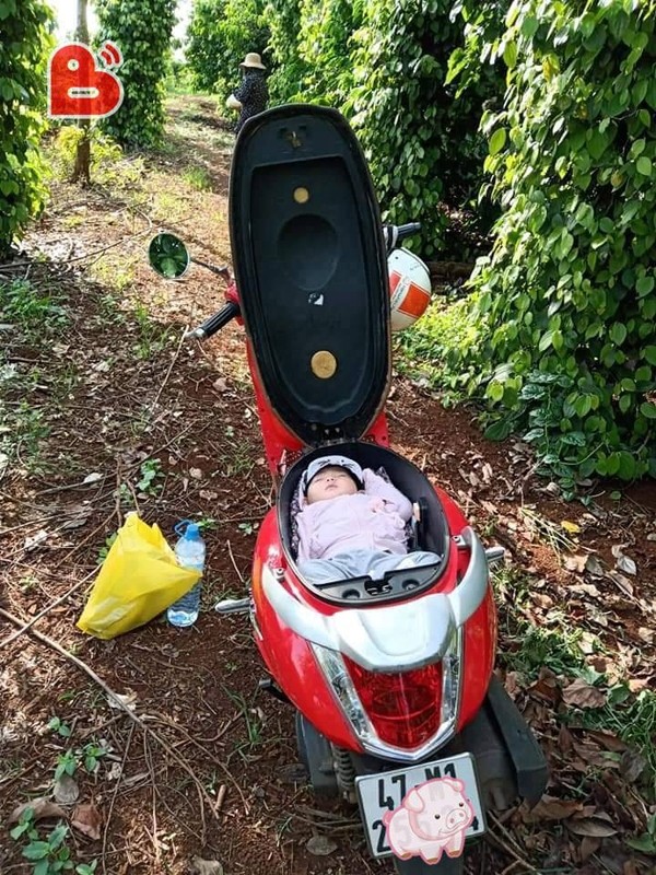 Tranh cãi chuyện bà mẹ đặt con nằm ngủ trong cốp xe máy: Nhỡ yên xe rơi xuống thì sao? ảnh 2