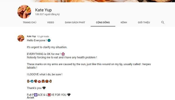 Nghi vấn bị bạo hành, bí mật gửi thông điệp cầu cứu, nữ YouTuber bất ngờ lên tiếng ảnh 1