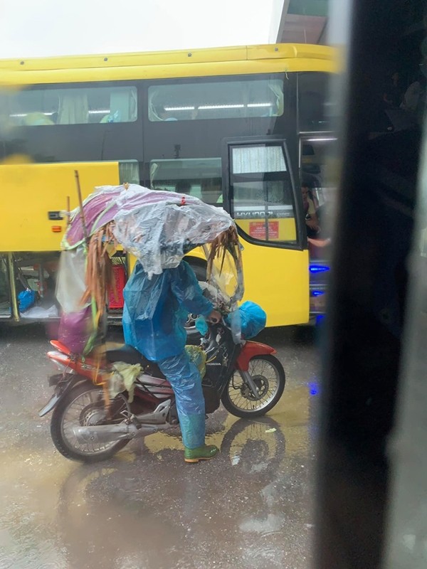 Hú hồn hình ảnh người đi đường thoát nạn trong gang tấc vì cây đổ do mưa bão ở Hà Nội ảnh 4
