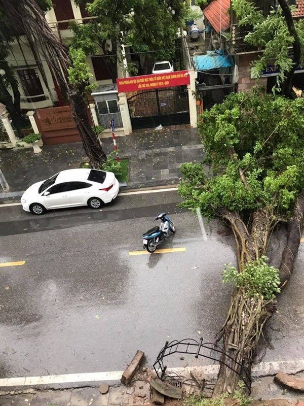 Hú hồn hình ảnh người đi đường thoát nạn trong gang tấc vì cây đổ do mưa bão ở Hà Nội ảnh 6