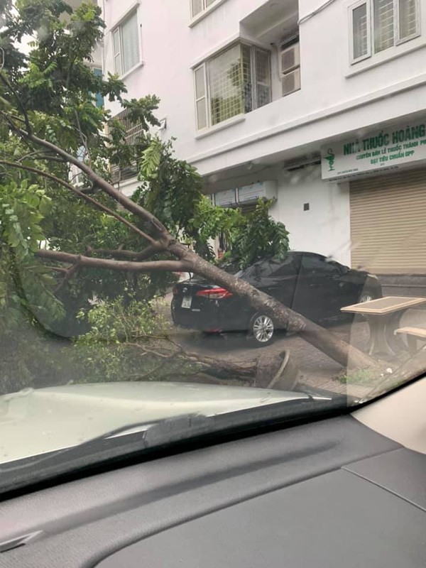 Hú hồn hình ảnh người đi đường thoát nạn trong gang tấc vì cây đổ do mưa bão ở Hà Nội ảnh 9