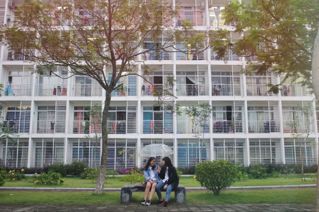 Những "tuyệt chiêu" không thể bỏ qua để 2K1 sống sót khi học Đại học ảnh 1