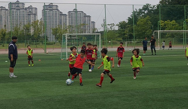 Trẻ em học hành kiệt sức, thể thao Hàn khó có "Son Heung Min" thứ hai? ảnh 3