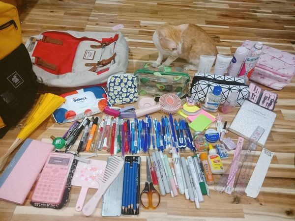 Teen rủ nhau khoe đồ dùng học tập: Bút thước nhiều vô kể, lại còn đồng bộ màu sắc ảnh 11