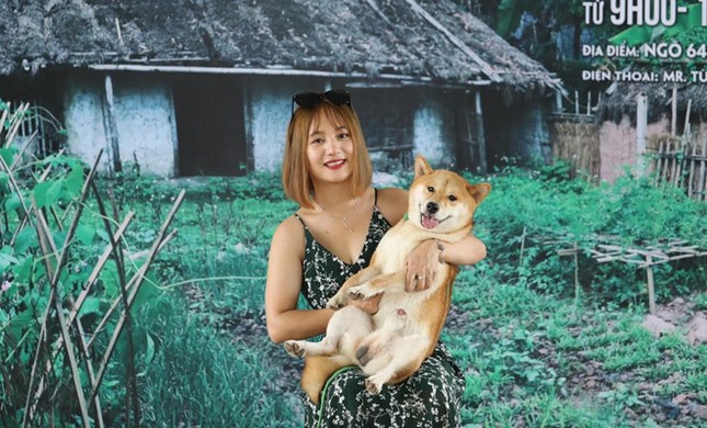 Chú chó Nhật được chọn đóng phim "Cậu Vàng" có gì đặc biệt? ảnh 1