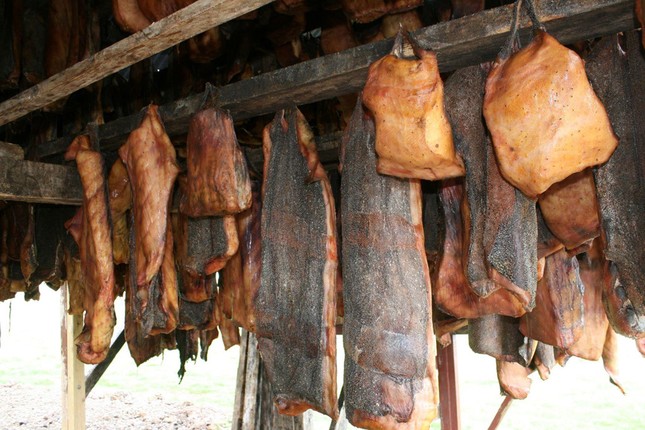 Hải cẩu nhồi xác chim và những món ăn bốc mùi nhất thế giới ảnh 3