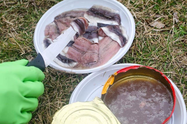 Hải cẩu nhồi xác chim và những món ăn bốc mùi nhất thế giới ảnh 7