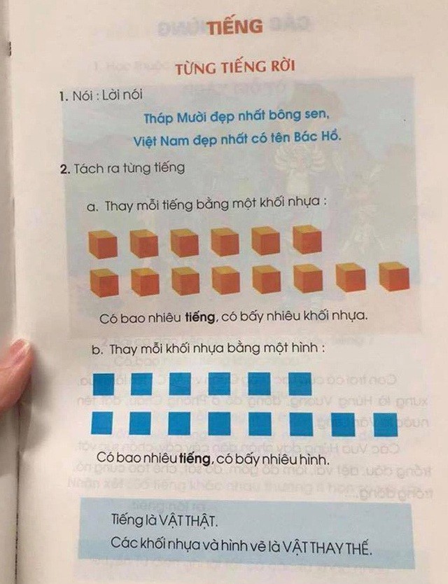Sách đánh vần “hình tròn ô vuông” của GS Hồ Ngọc Đại bị rớt khỏi vòng thẩm định ảnh 2