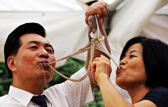 Cua tươi sống, bạch tuộc giãy giụa và những món dị nhất Hàn Quốc ảnh 7