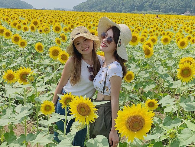 Đồng hoa hướng dương triệu bông ở Nhật đẹp như tranh khi mùa Thu đến ảnh 6