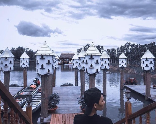 Tiết lộ góc check-in "thần thánh" mới toanh của rừng tràm Trà Sư, An Giang khiến giới trẻ mê mẩn ảnh 1