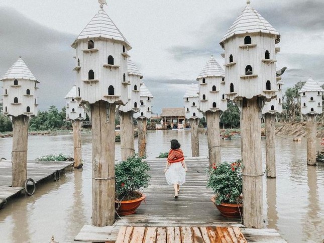 Tiết lộ góc check-in "thần thánh" mới toanh của rừng tràm Trà Sư, An Giang khiến giới trẻ mê mẩn ảnh 2