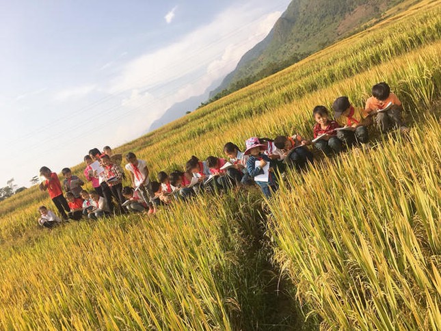 Cô giáo dẫn học trò ra tận cánh đồng để làm đề Văn tả cánh đồng quê hương ảnh 1