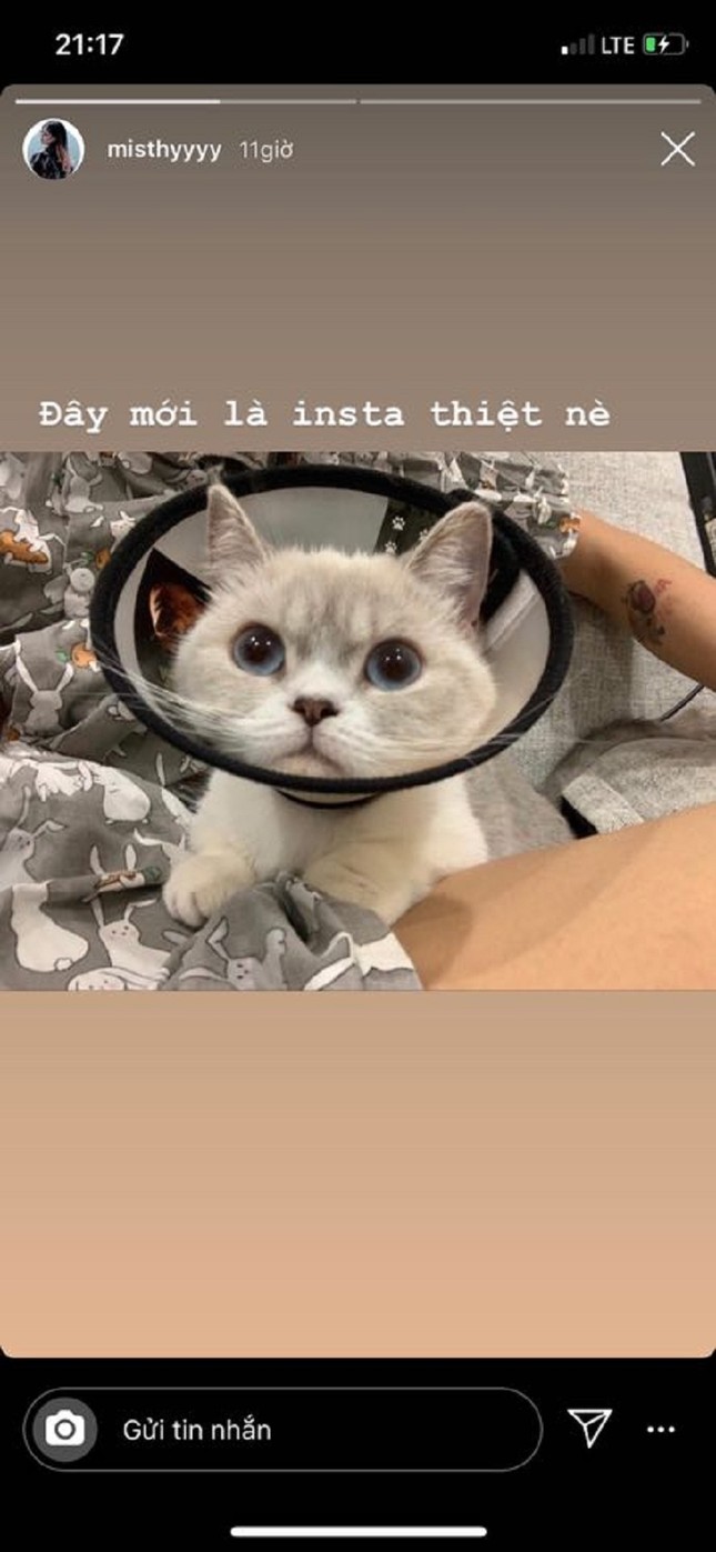 Hot streamer Misthy lên tiếng về vụ đăng story Instagram "cà khịa" antifan ảnh 5