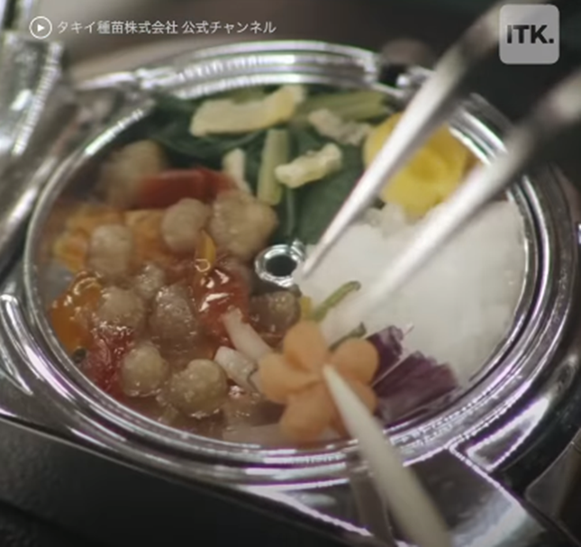 Đồng hồ bento - món trang sức dành cho những soái ca mê món Nhật ảnh 4