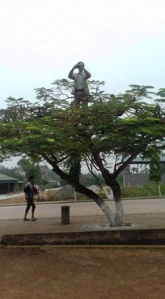 Người thầy có tâm nhất "quả đất", trèo lên tận cành cây chụp ảnh cho học sinh của mình ảnh 1