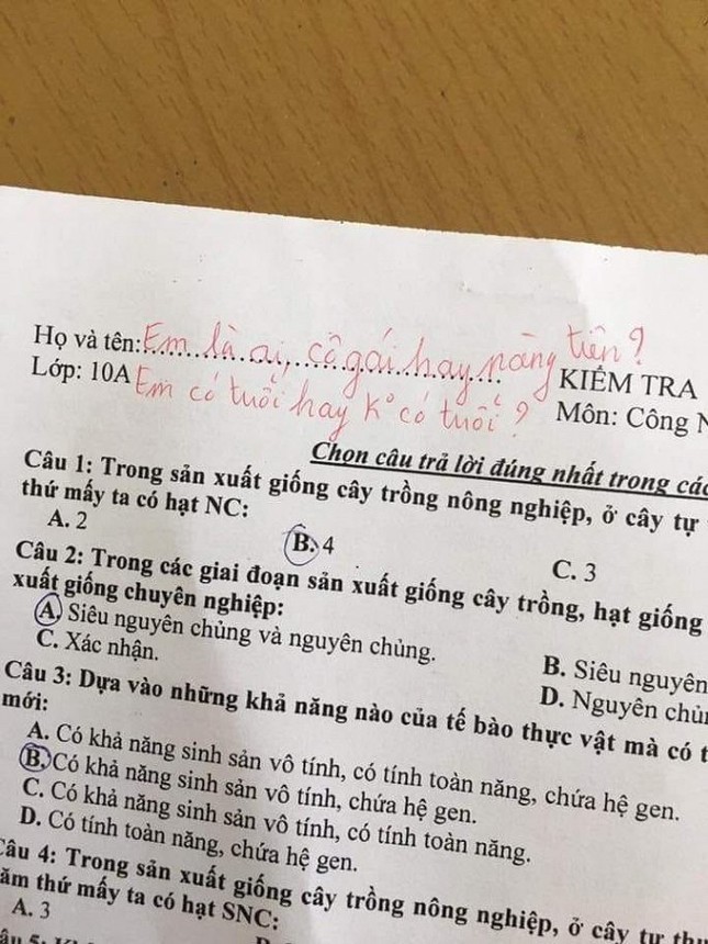 Học trò quên điền thông tin trong bài kiểm tra, giáo viên nhắc: "Em là ai? cô gái hay nàng tiên" ảnh 1